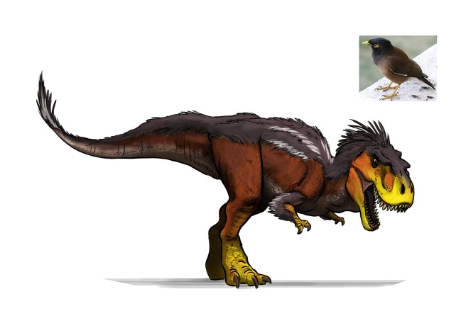 DinoDesignSheet_Tarbo_colour_V01